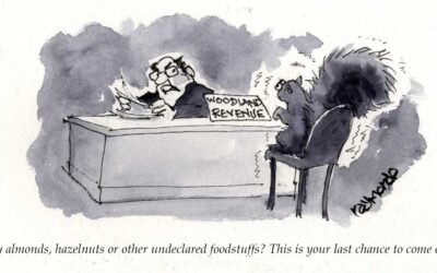 Woodland Revenue